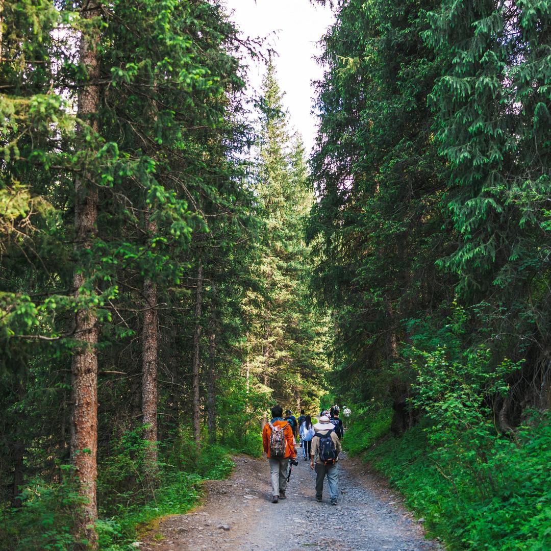 Hiking Tours